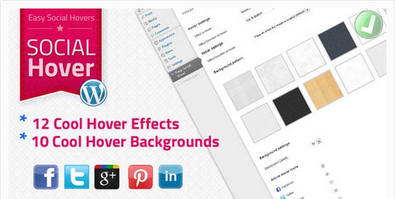 WP Easy Social Hover
