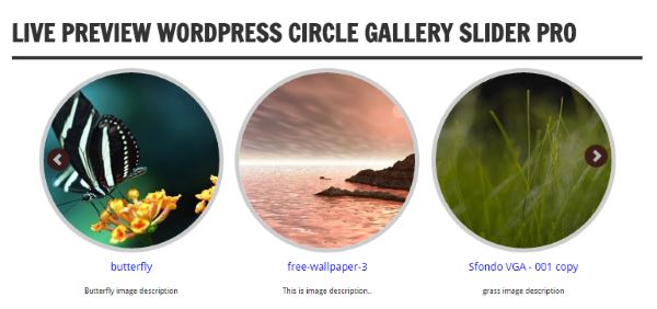 Circle Image Slider With Lightbox Preview
