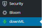 downML menu settings