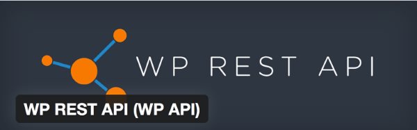 WP Rest-API
