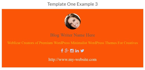 About WordPress Authors - Exemple 3