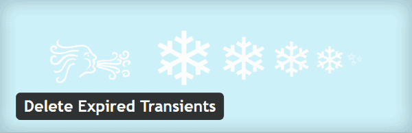 Transients WordPress - Delete Expired Transients