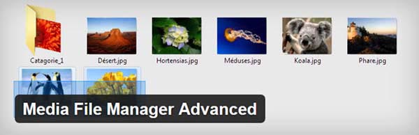 media file manager advanced