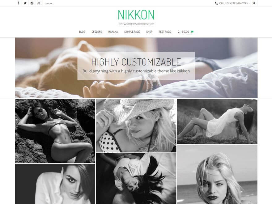 Nikkon - Les 10 plus beaux thèmes gratuits parus en Décembre 2016